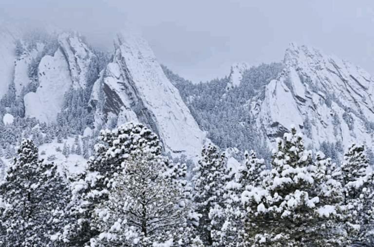Snow-covered pine trees in the foreground with steep, rocky mountains and a forested hillside blanketed in snow under a cloudy sky.